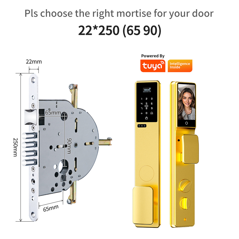 Cerradura de Puerta Inteligent - Smart Door Lock 3D Face Palm Vein reseña y precio