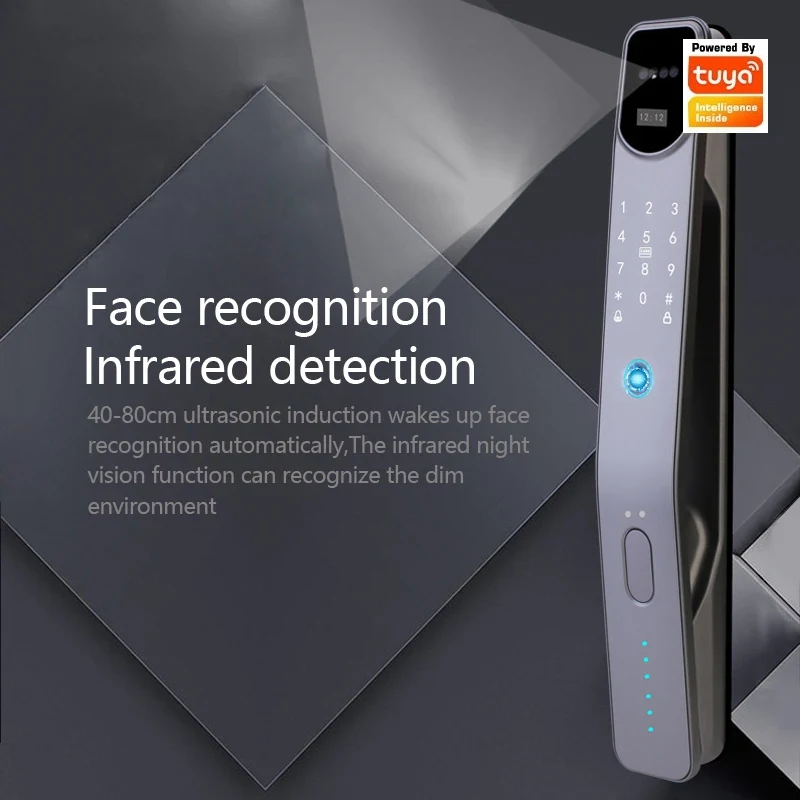 Cerradura Inteligente con Reco - Face Recognition Door Lock reseña y precio