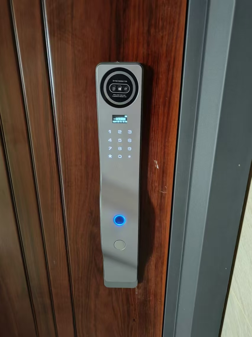 Cerradura Inteligente Wifi Tuy - Smart Door Lock 3D Face Palm Vein reseña y precio