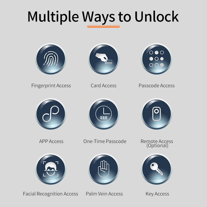 Cerradura Inteligente para Pue - Face Recognition Door Lock reseña y precio