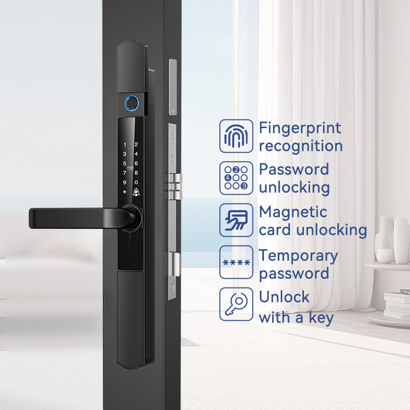 Cerradura Inteligente para Pue - Face Recognition Door Lock reseña y precio