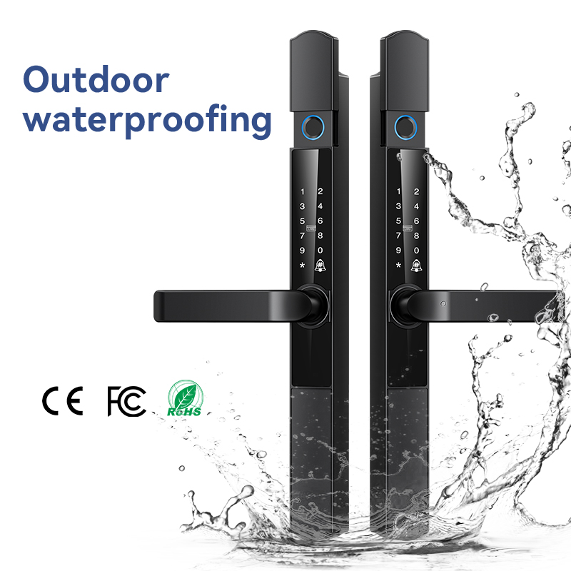 Cerradura Inteligente para Pue - Face Recognition Door Lock reseña y precio
