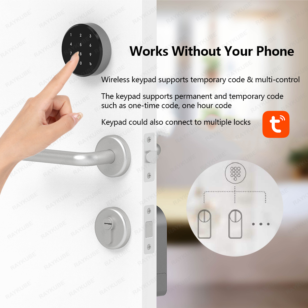 RAYKUBE A1 Pro Tuya BEL Juego  - Smart Door Lock Tuya App reseña y precio