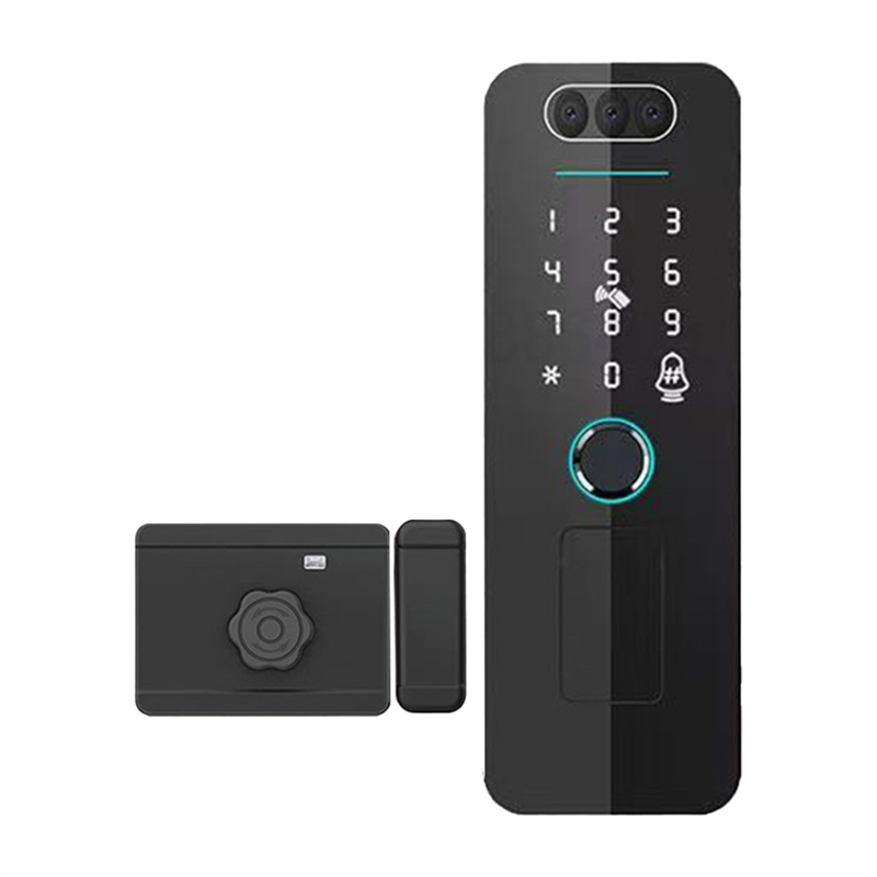 A92Z Tuya huella digital RFID  - Face Recognition Door Lock reseña y precio