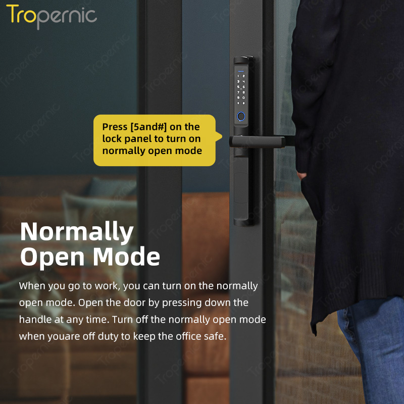 Tuya zigbee-cerraduras biométr - Smart Lock Zigbee Gateway reseña y precio