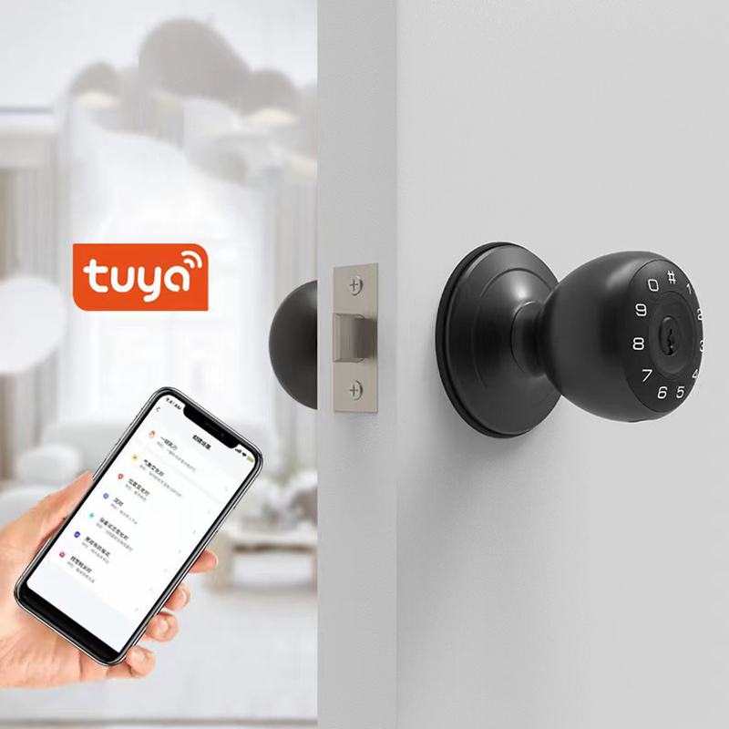 Tuya-cerrojo de seguridad inte - Smart Lock Deadbolt Keypad Bluetooth reseña y precio