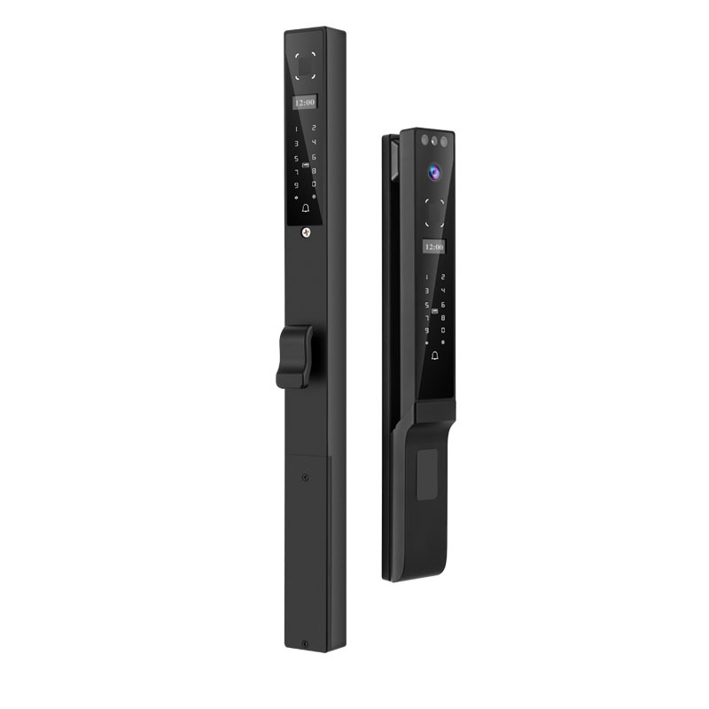 Cerradura Inteligente para Pue - Face Recognition Door Lock reseña y precio