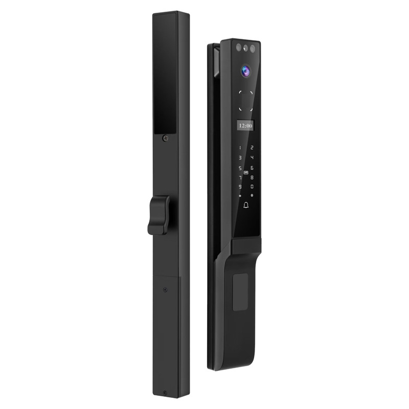 Cerradura Inteligente para Pue - Face Recognition Door Lock reseña y precio