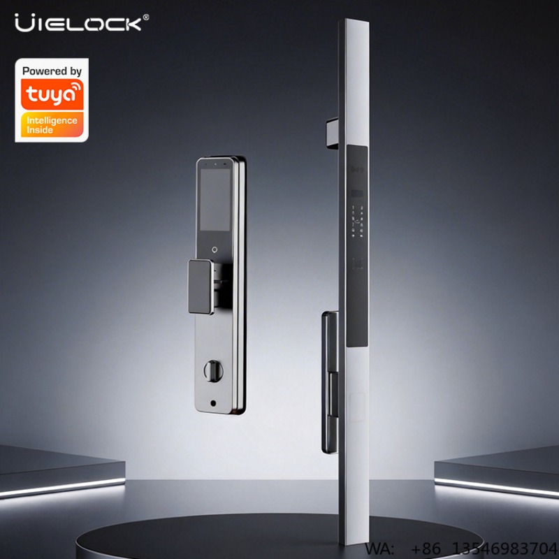 Cerradura Inteligente para el  - Smart Door Lock 3D Face Palm Vein reseña y precio