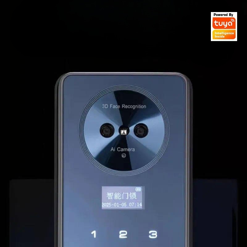Cerradura Inteligente con Reco - Face Recognition Door Lock reseña y precio