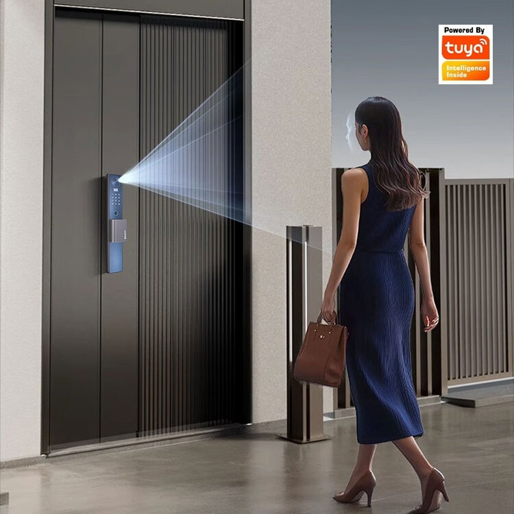 Cerradura Inteligente con Reco - Face Recognition Door Lock reseña y precio
