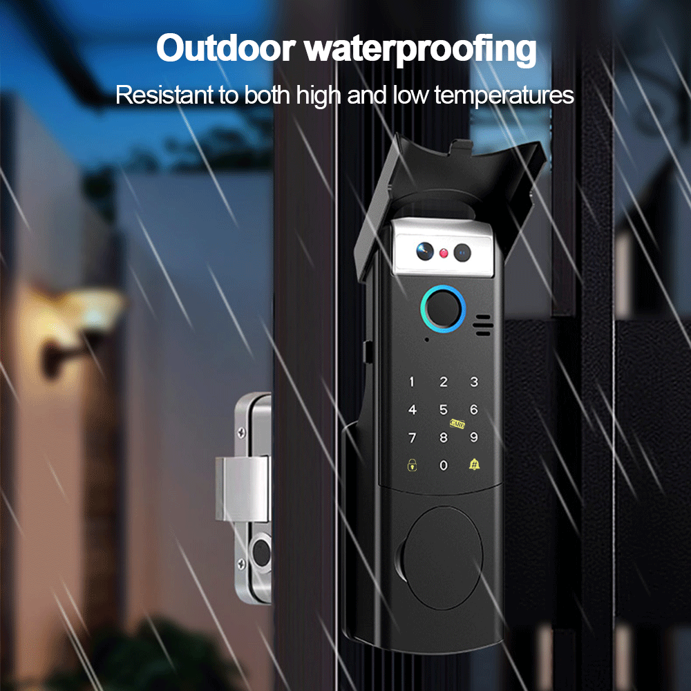 Cerradura Eléctrica RAYKUBE V6 - Face Recognition Door Lock reseña y precio