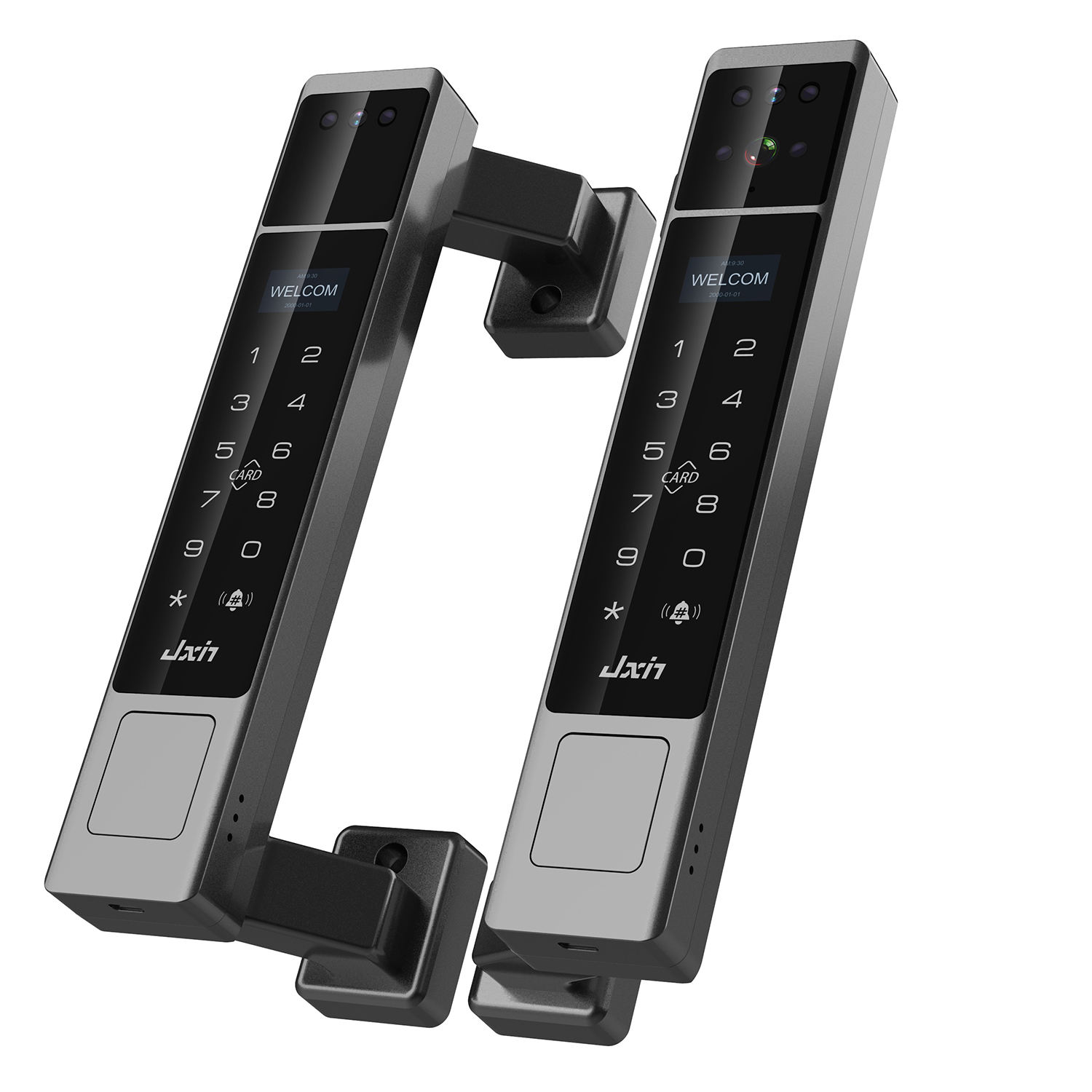 Cerradura Inteligente para Pue - Face Recognition Door Lock reseña y precio