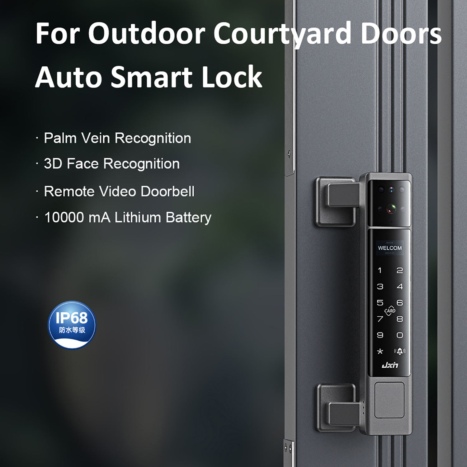 Cerradura Inteligente para Pue - Face Recognition Door Lock reseña y precio