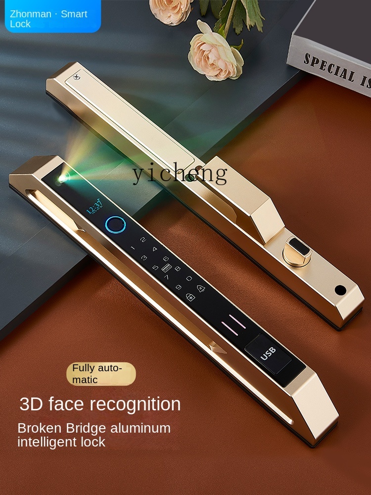 Cerradura Inteligente Automáti - Face Recognition Door Lock reseña y precio
